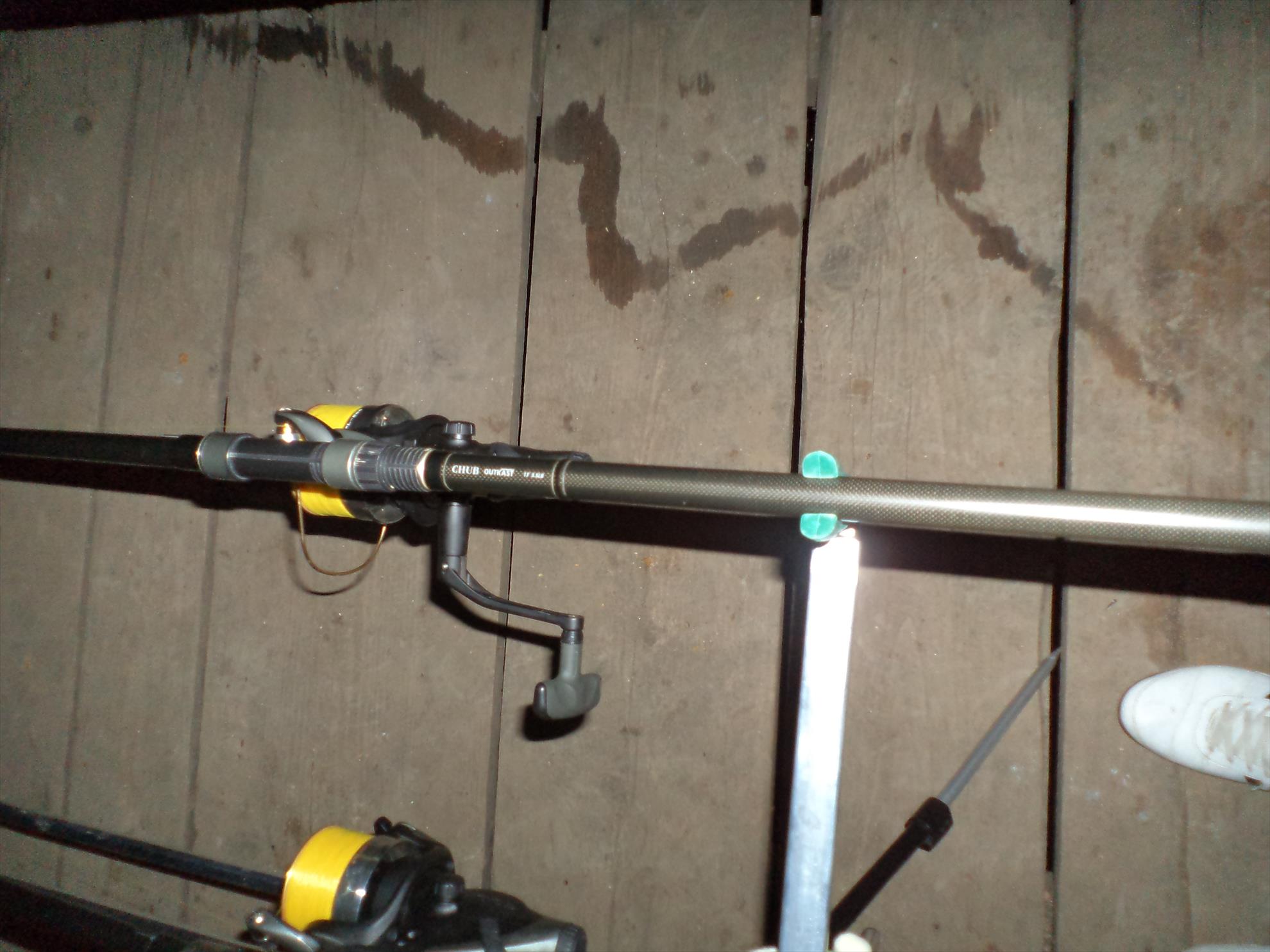 Testarea noilor bete - dsc01573.JPG